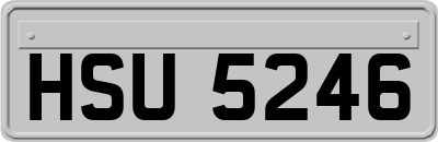 HSU5246