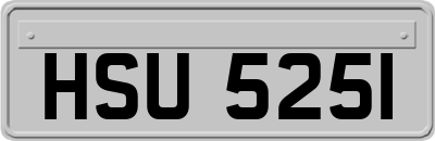 HSU5251
