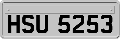 HSU5253