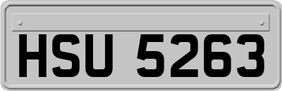 HSU5263
