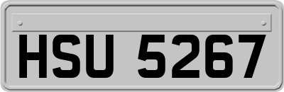 HSU5267