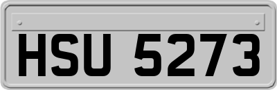 HSU5273