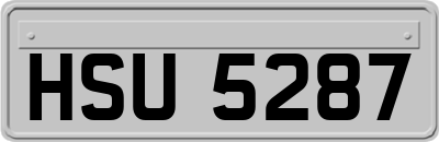 HSU5287