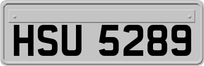 HSU5289