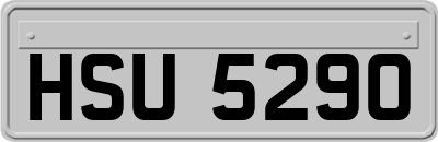 HSU5290