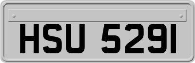 HSU5291