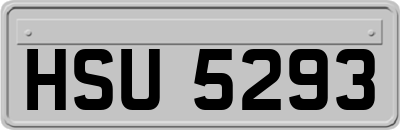 HSU5293