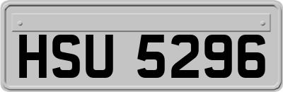 HSU5296
