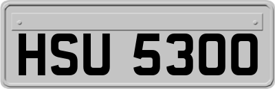 HSU5300