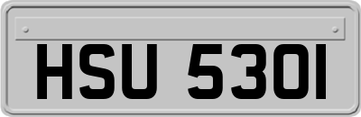 HSU5301