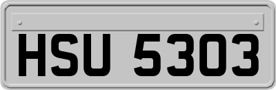 HSU5303