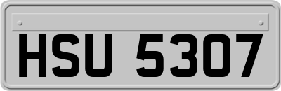 HSU5307