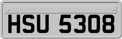 HSU5308