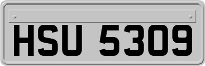 HSU5309