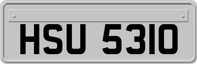 HSU5310