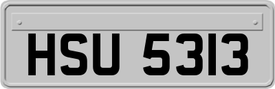 HSU5313