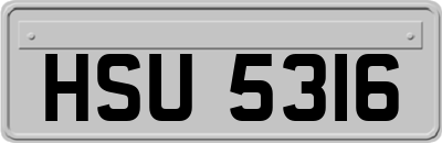HSU5316