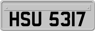 HSU5317