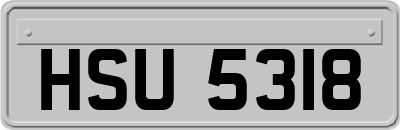 HSU5318