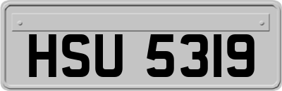 HSU5319