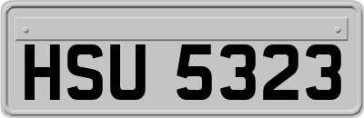 HSU5323