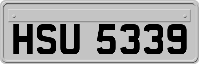 HSU5339