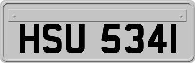 HSU5341