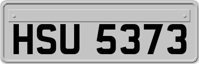 HSU5373