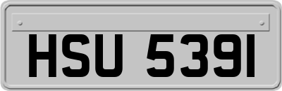 HSU5391