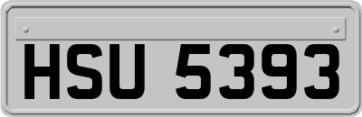 HSU5393