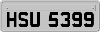 HSU5399