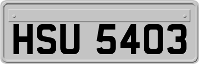 HSU5403