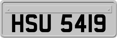 HSU5419