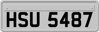 HSU5487