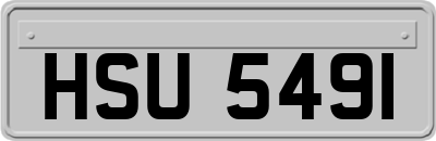 HSU5491
