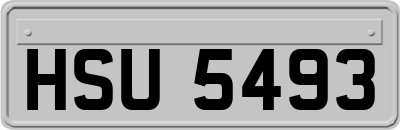 HSU5493