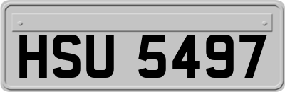 HSU5497