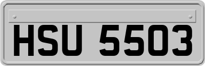 HSU5503