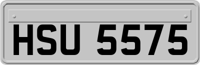 HSU5575