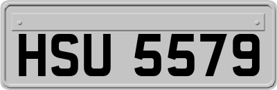 HSU5579
