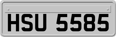 HSU5585