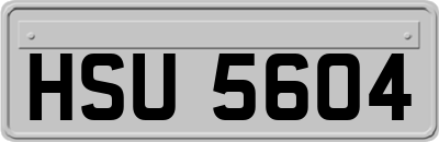 HSU5604