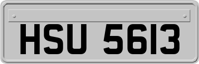 HSU5613
