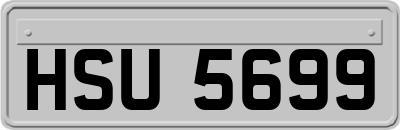 HSU5699