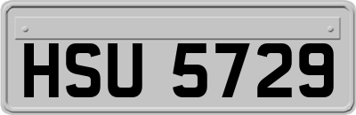 HSU5729