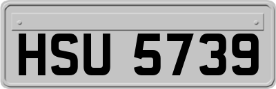 HSU5739