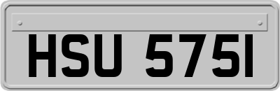 HSU5751