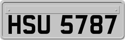 HSU5787