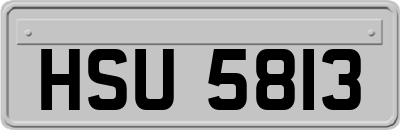 HSU5813