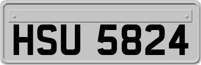 HSU5824